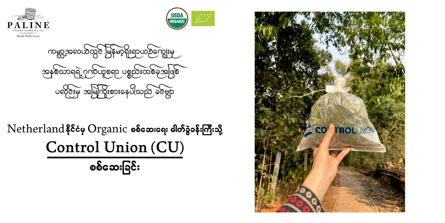 ပလိုင်း သဘာ၀ ချဉ်စပ်လက်ဖက်အညွန့် (100g)