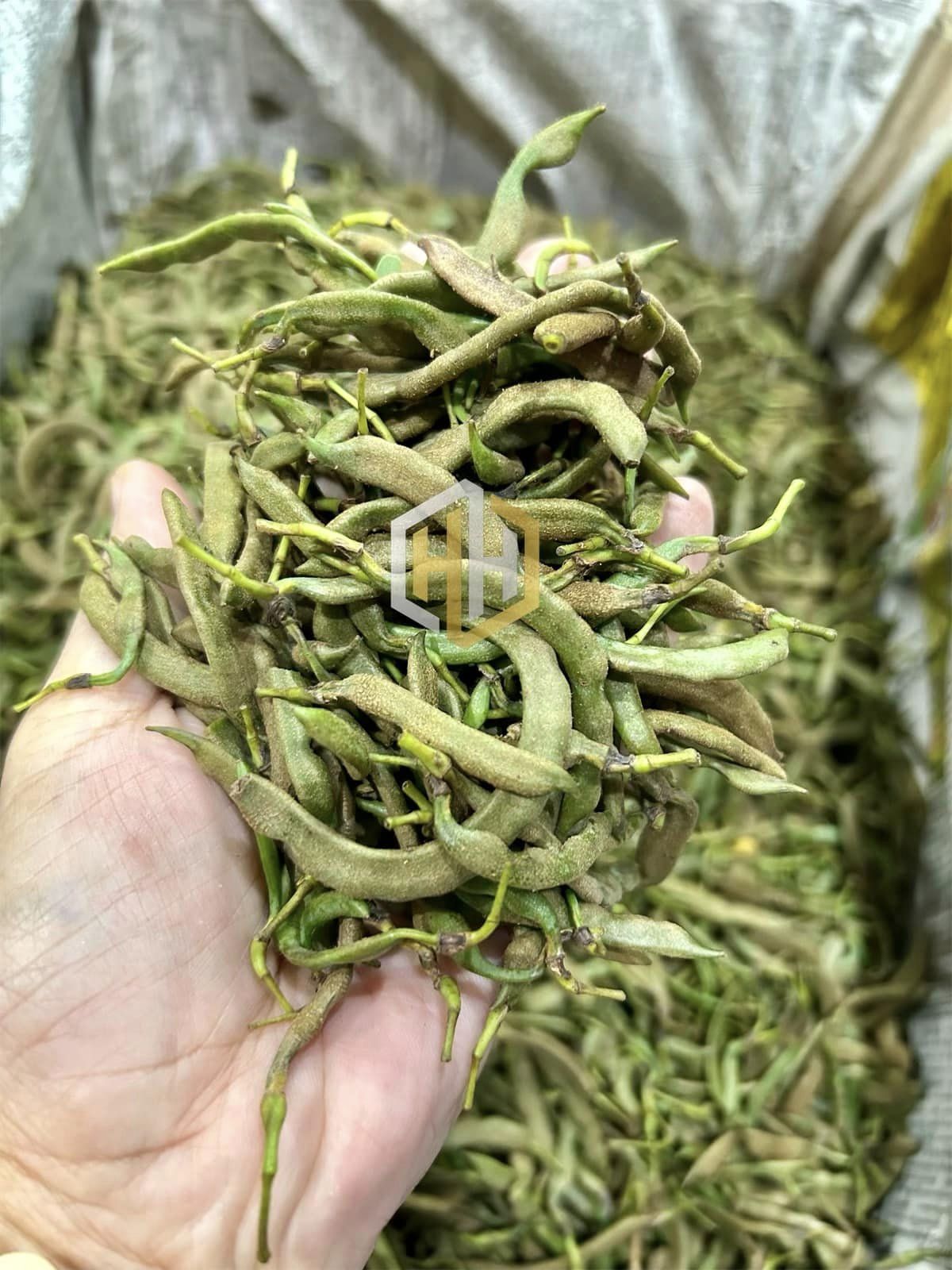 H&H မန်ကျည်းသီးစိမ်းကြော် (230g)