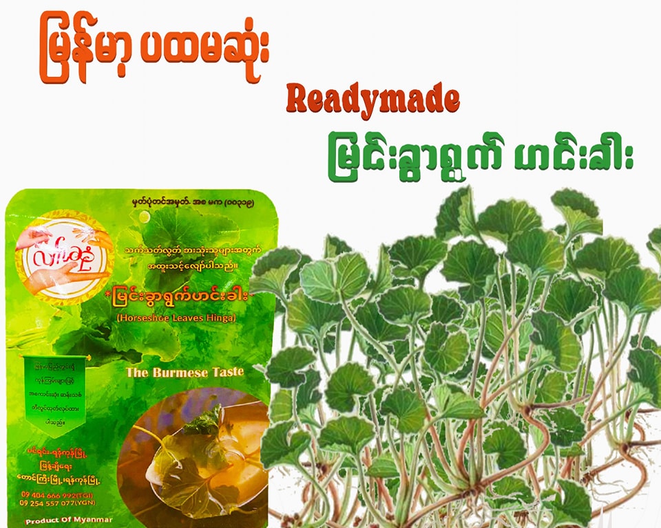 လက်ဆုံ မြင်းခွာရွက် ဟင်းခါး (25g)