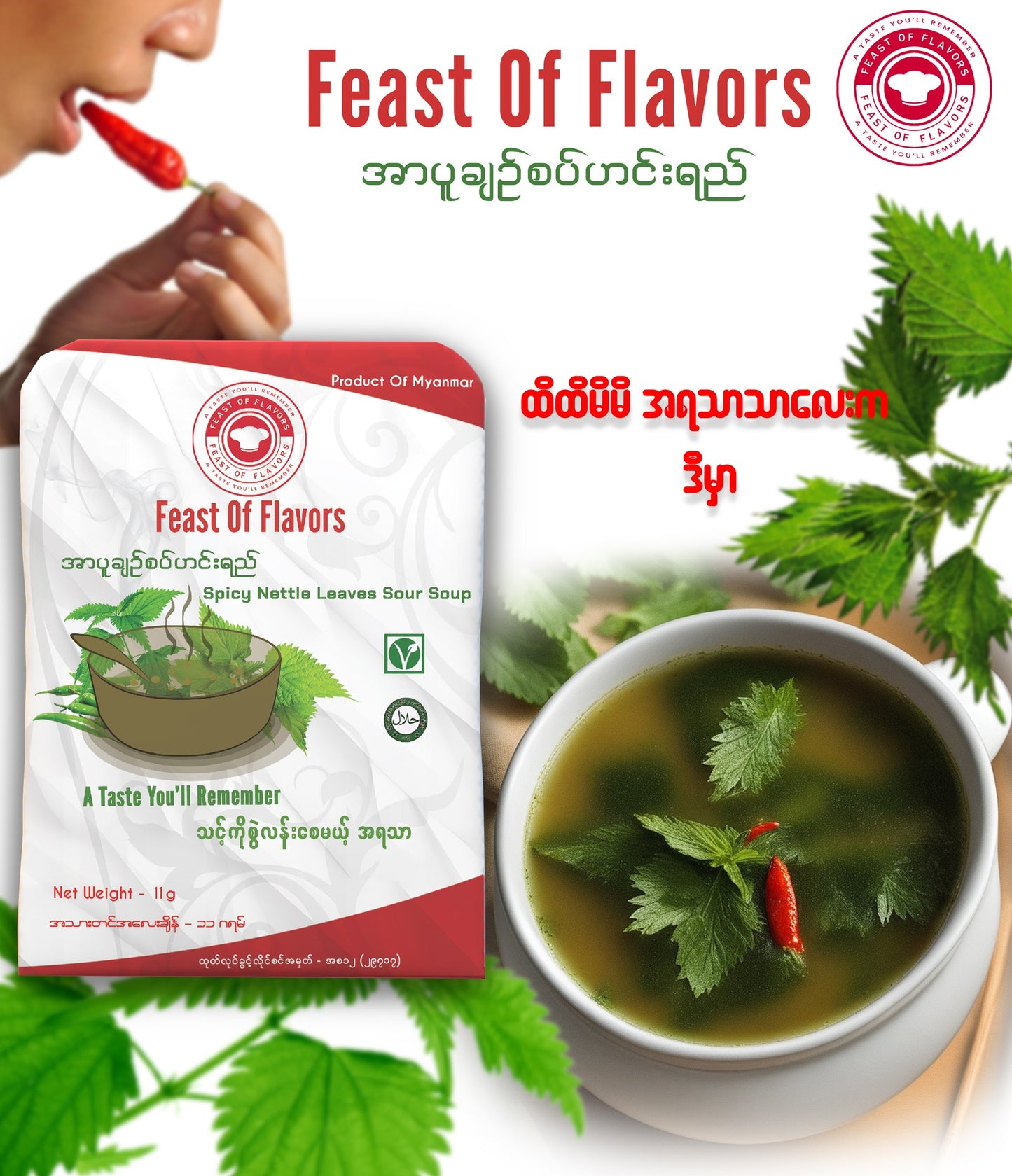 Feast Of Flavors အာပူချဉ်စပ် ဟင်းရည်