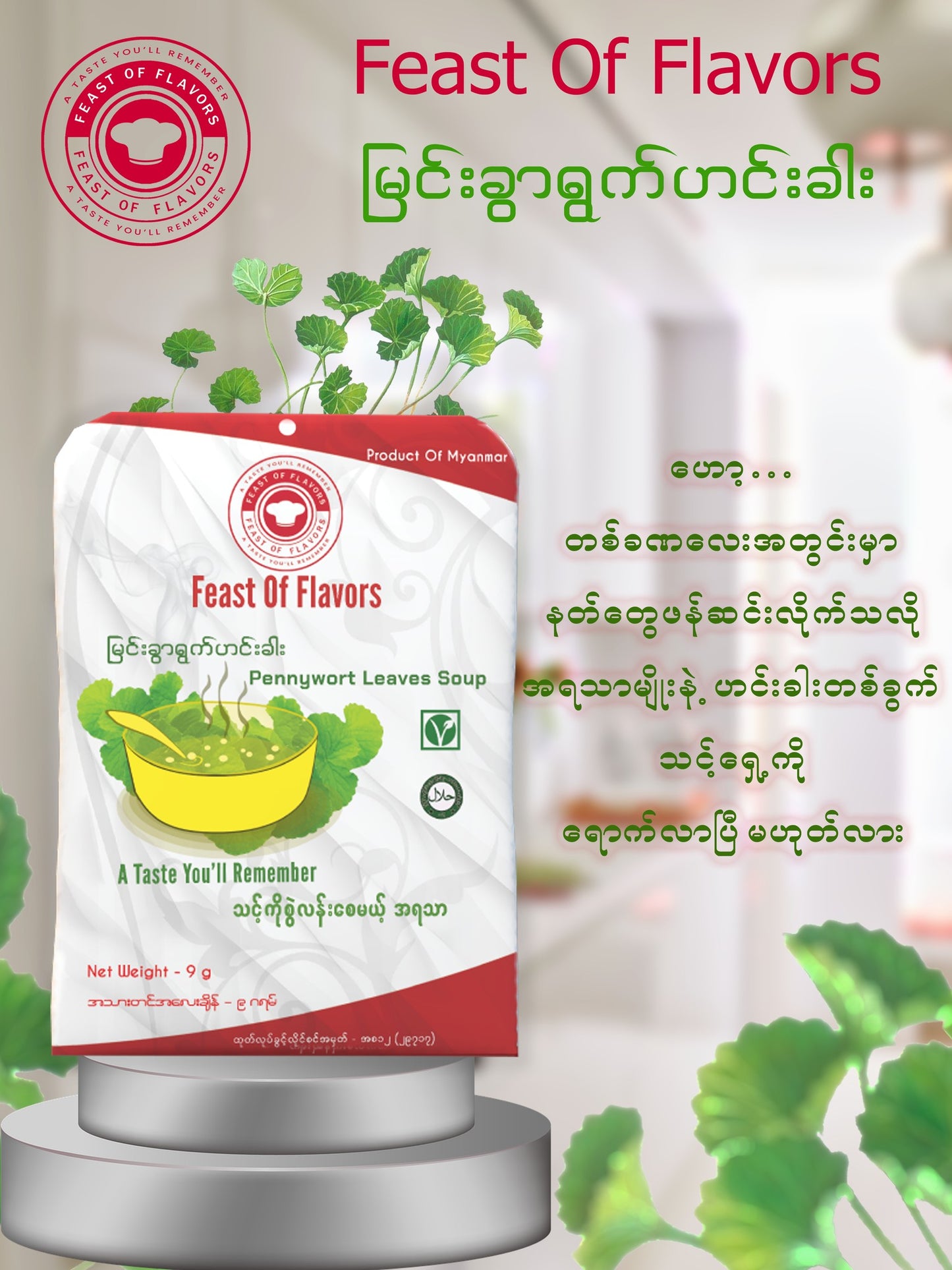 Feast Of Flavors မြင်းခွာရွက် ဟင်းခါး