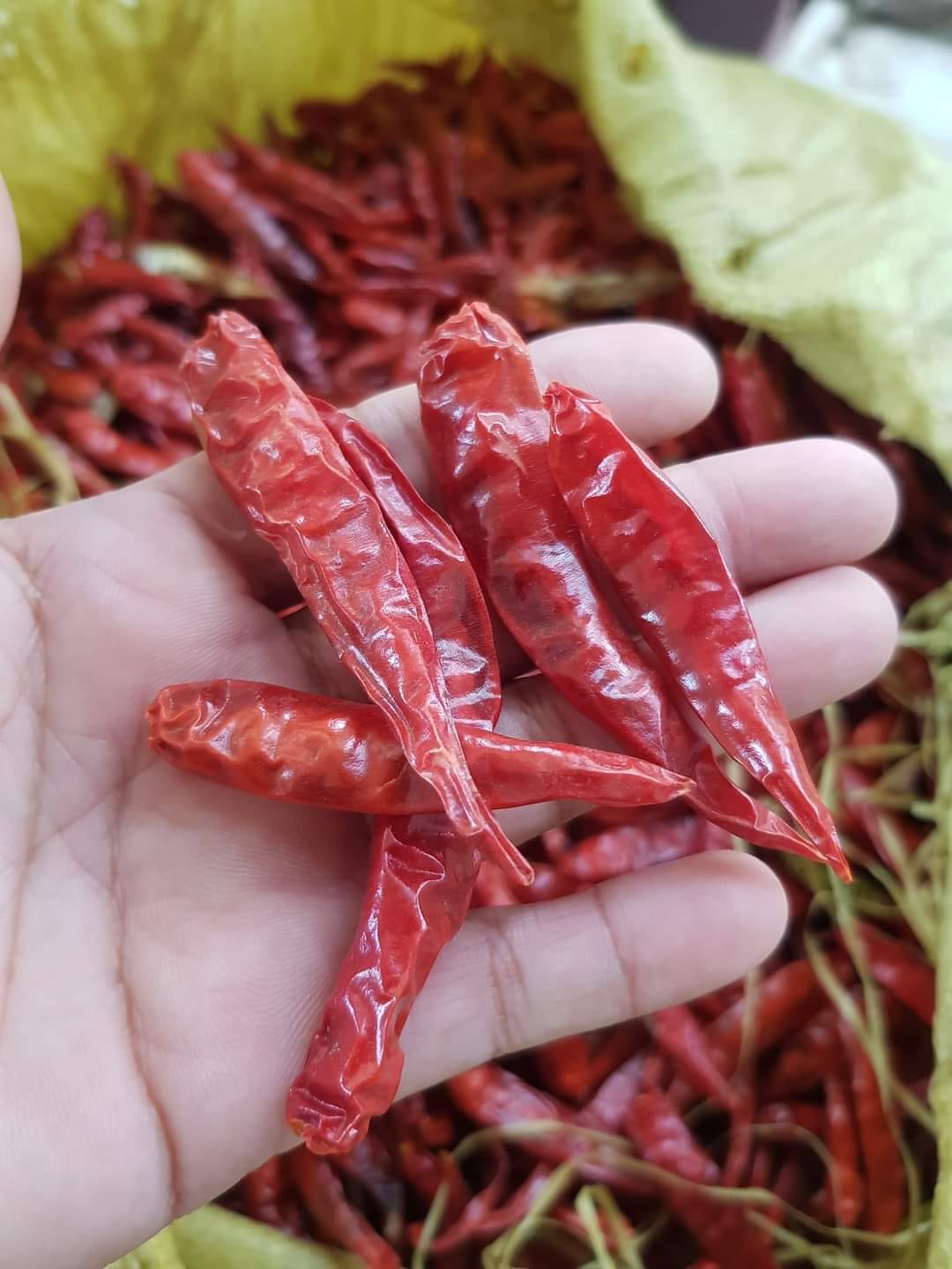 ပန်းခရေ အသင့်ခပ် ငရုတ်သီးကြော် (160g)