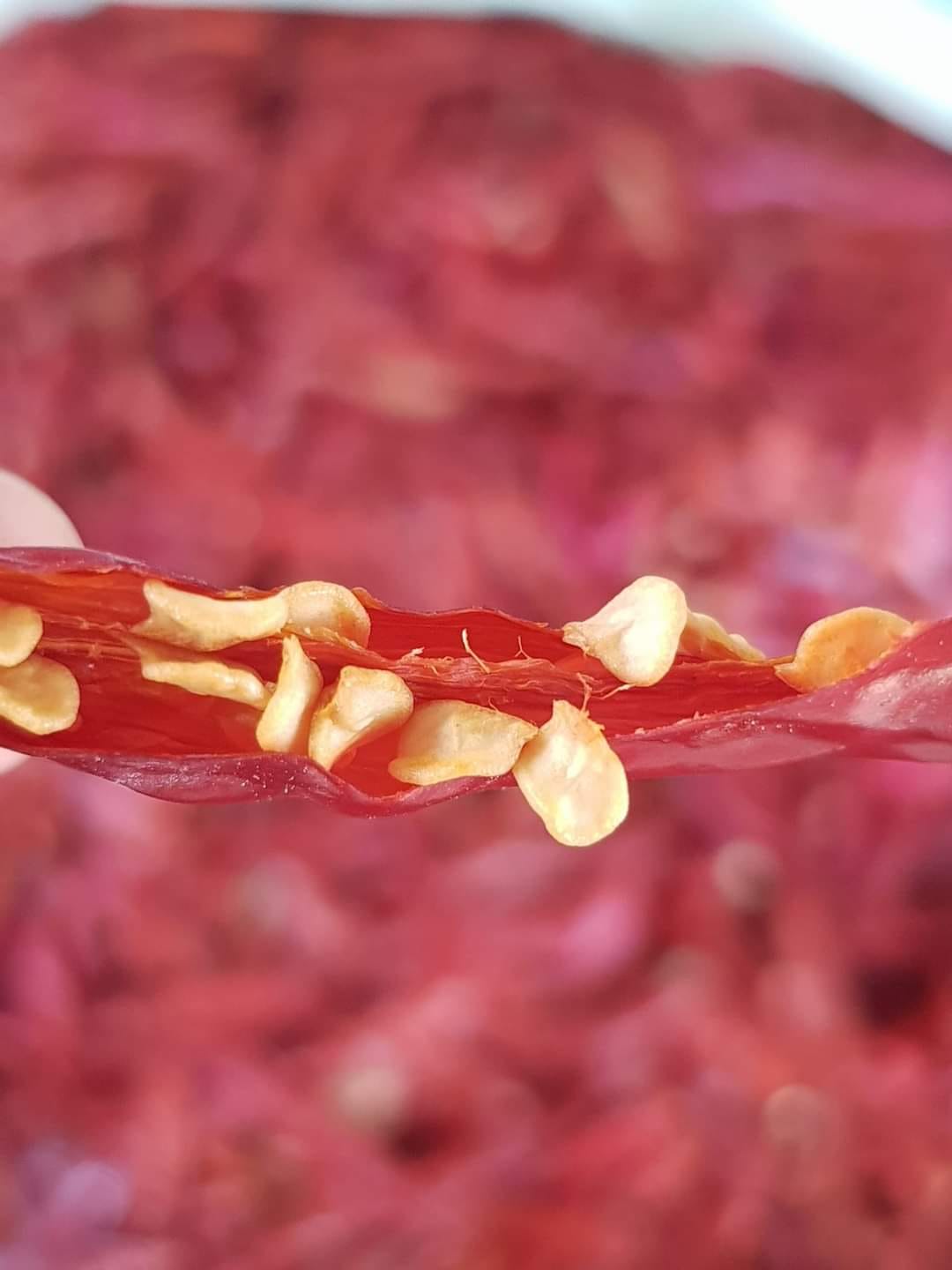 ပန်းခရေ အသင့်ခပ် ငရုတ်သီးကြော် (160g)