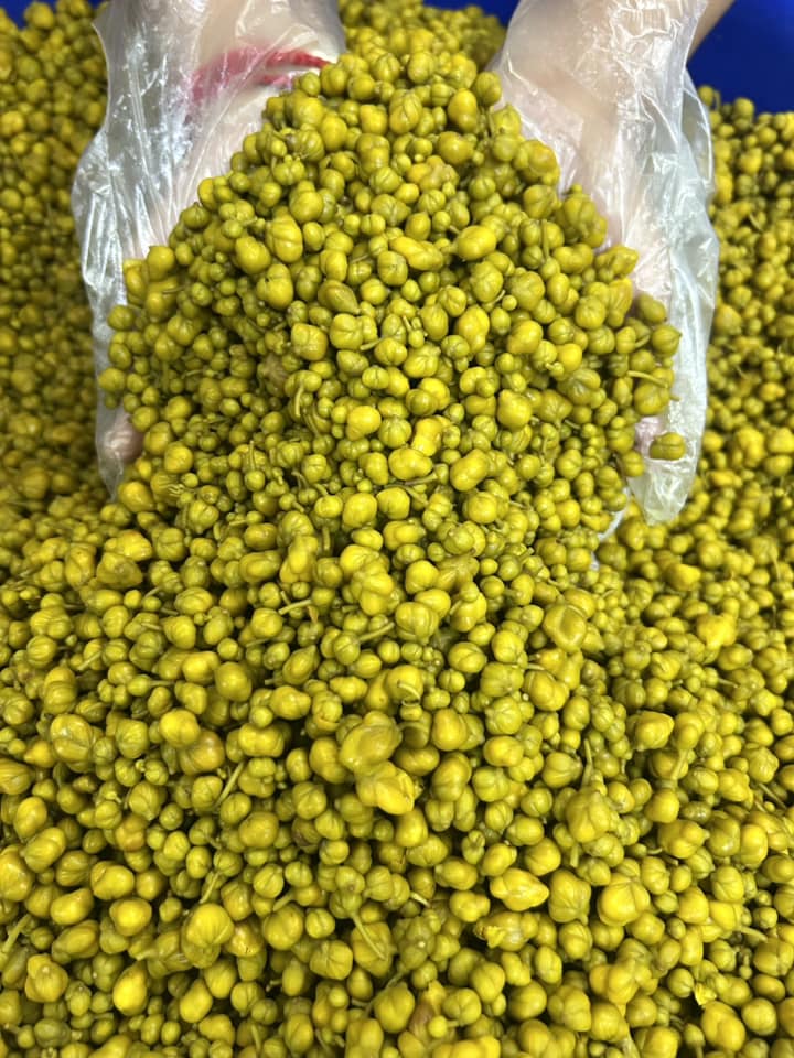 H&H မယ်ဇလီဖူးပြုတ် (230g)