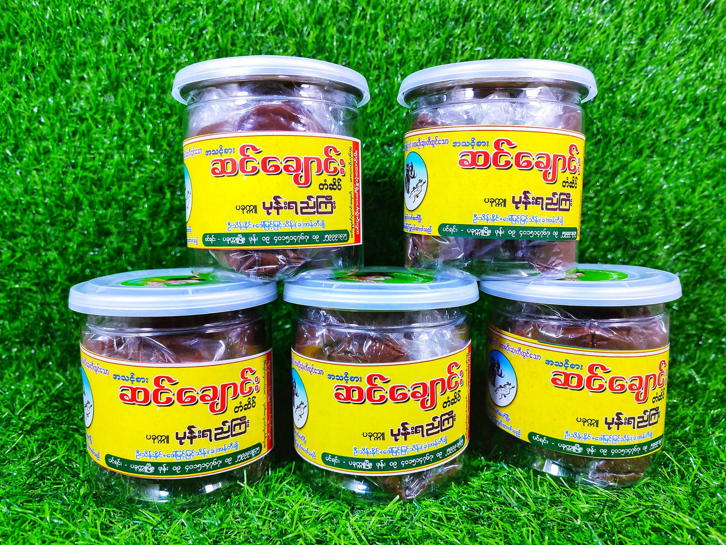 အရီးချို ပခုက္ကူ ဆင်ချောင်း ပုန်းရည်ကြီး ဗူးကြီး (500g)