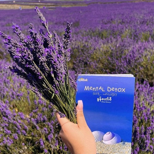 မွန်ဟော်စီ စိတ်ကိုအဆိပ်ထုတ်ခြင်း (Mental Detox)