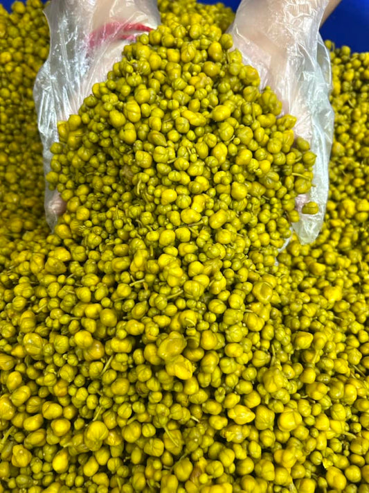 H&H မယ်ဇလီဖူးပြုတ် (230g)