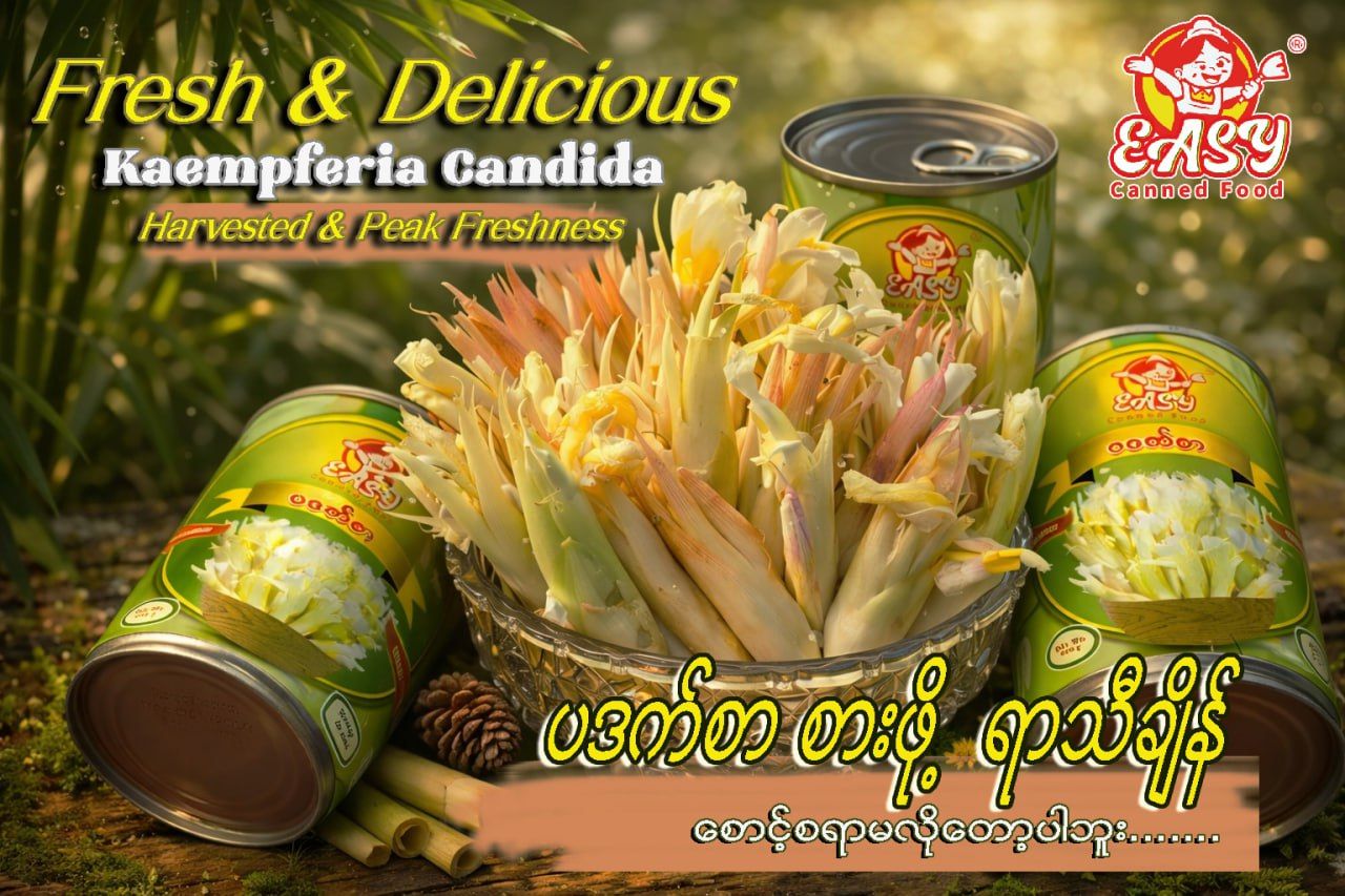 EASY ပဒက်စာ (355g NET)