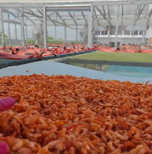 ရွှေသန့်သန့် ရွှေပုစွန်ခြောက် (160g)